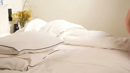 Viï¼ CB260325
